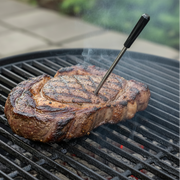Charmaster 3.0 Wireless Bluetooth Thermometer